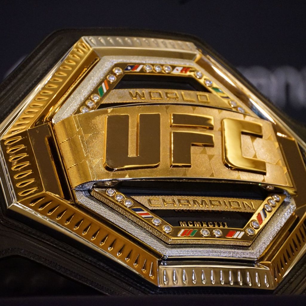 The History of UFC&nbsp;Champions